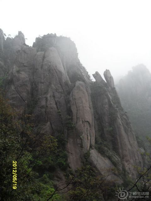 SDC14034.jpg