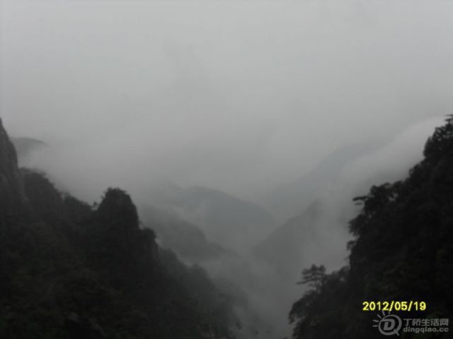 SDC14036.jpg