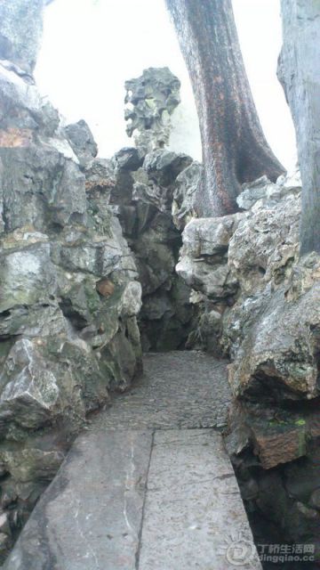 DSC_0109.JPG