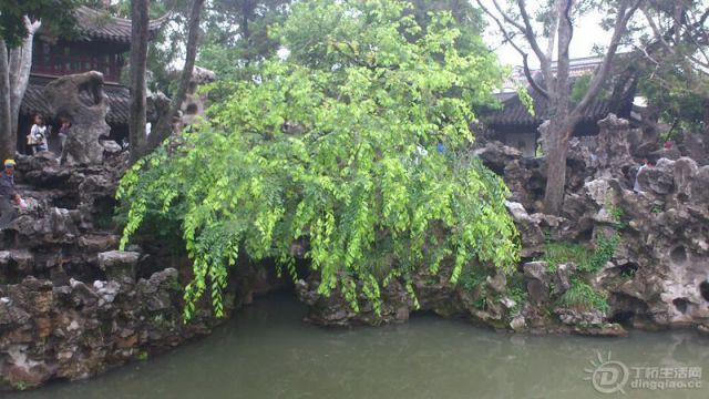 DSC_0119.JPG