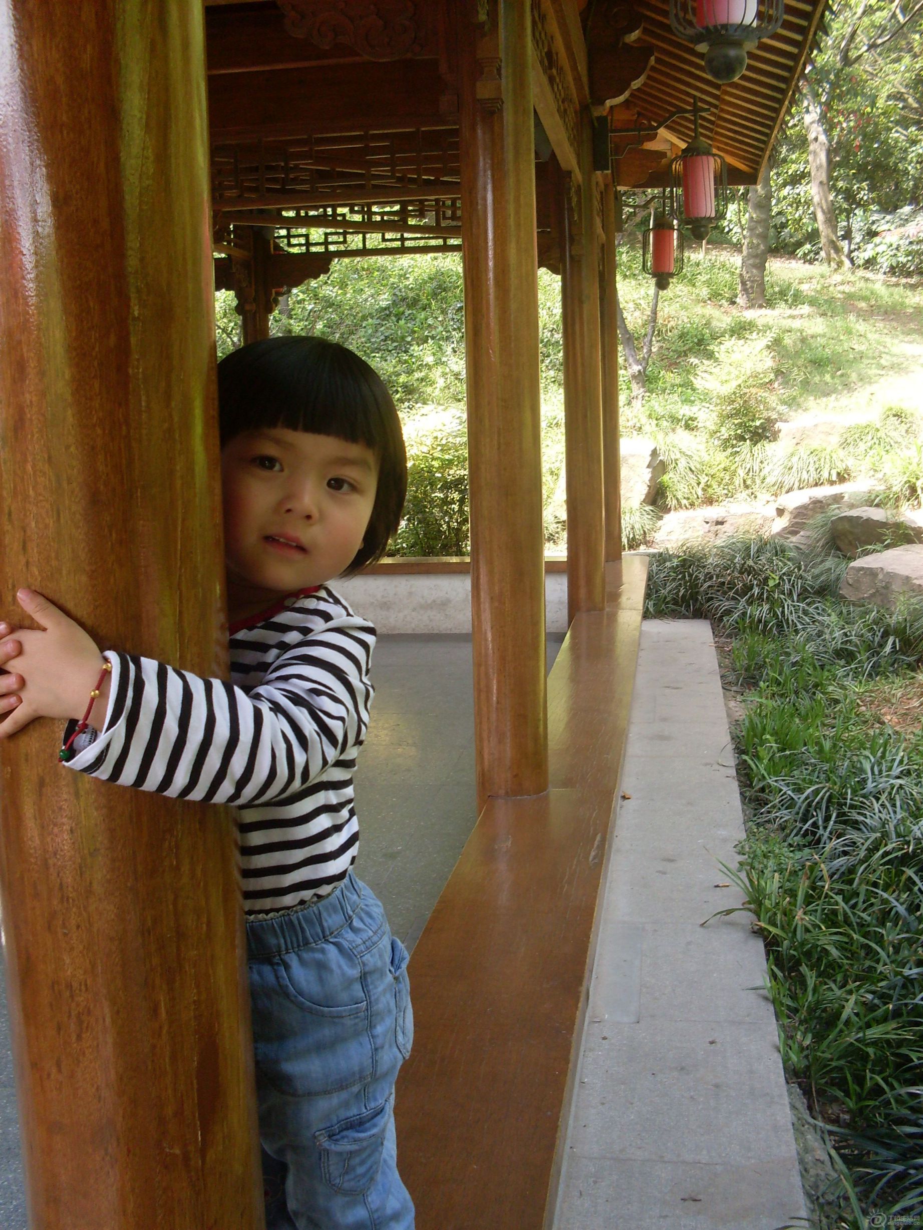 SDC13087.JPG