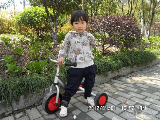 BigBull_SAM_0473.JPG
