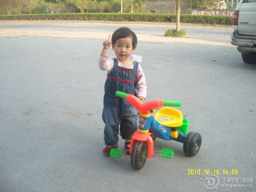 BigBull_SNV80034.JPG