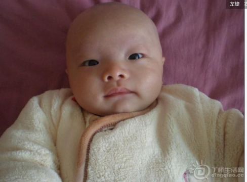 满月的光头,连眉毛都给我剃了呢 满月的光头,连眉毛都给我剃了呢