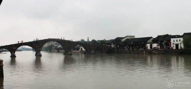 IMG_4115.jpg
