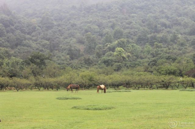 IMG_4211.jpg