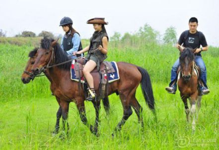 201205171245253515.jpg