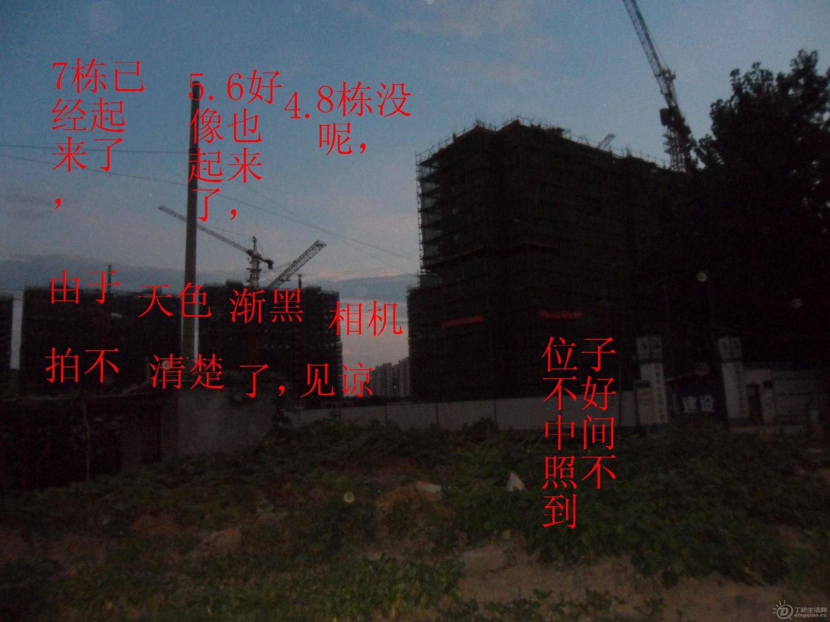 SAM_2318.JPG