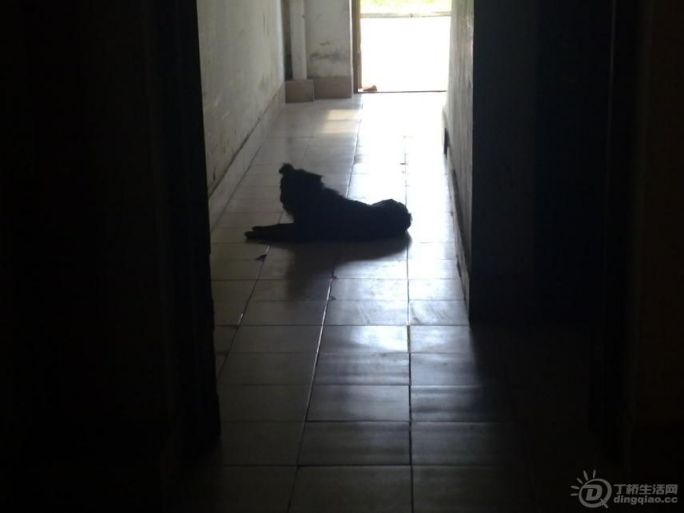 20120723354.jpg