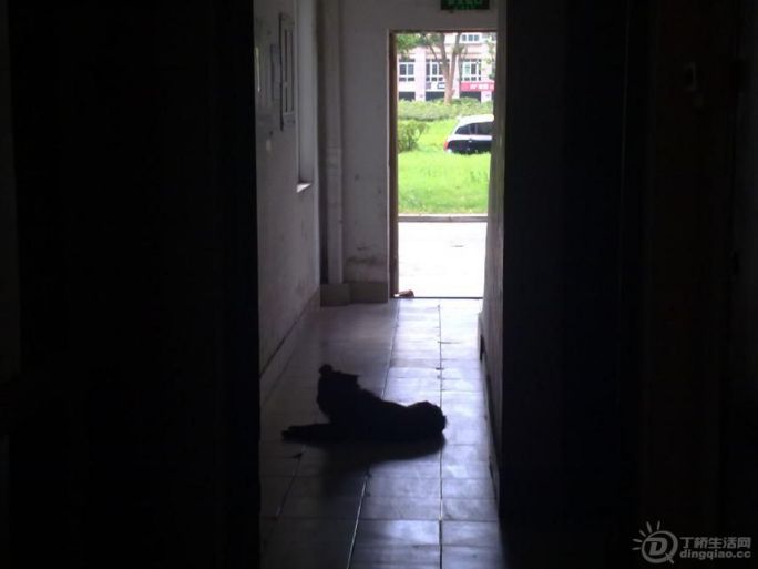 20120723355.jpg