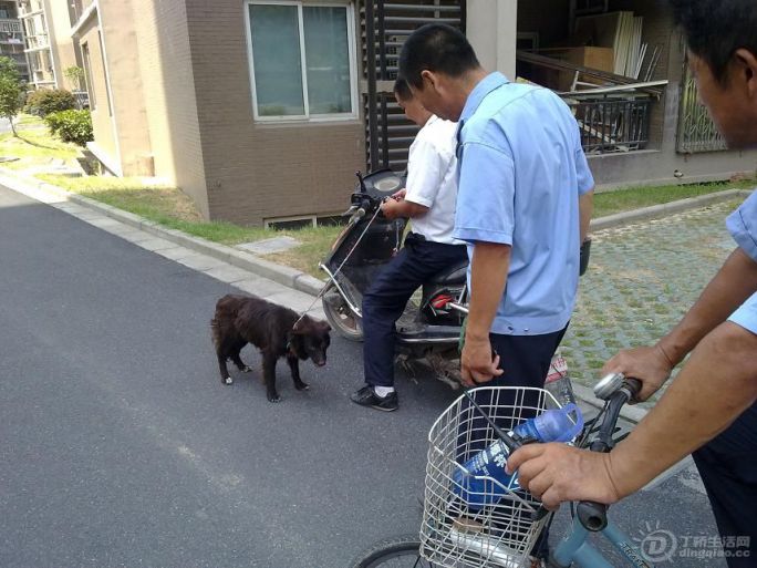 20120723364.jpg