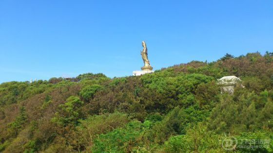 nEO_IMG_DSC_0079.jpg