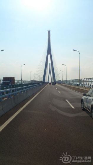 nEO_IMG_DSC_0175.jpg