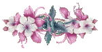 ָ1.gif