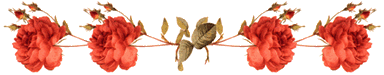 ָ2.gif