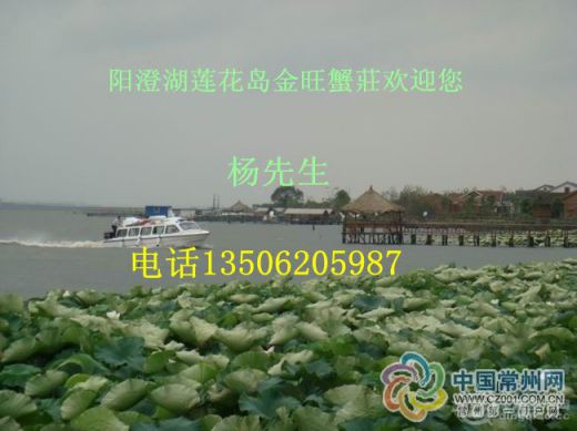 306_163846_37fe5602002427d_.jpg