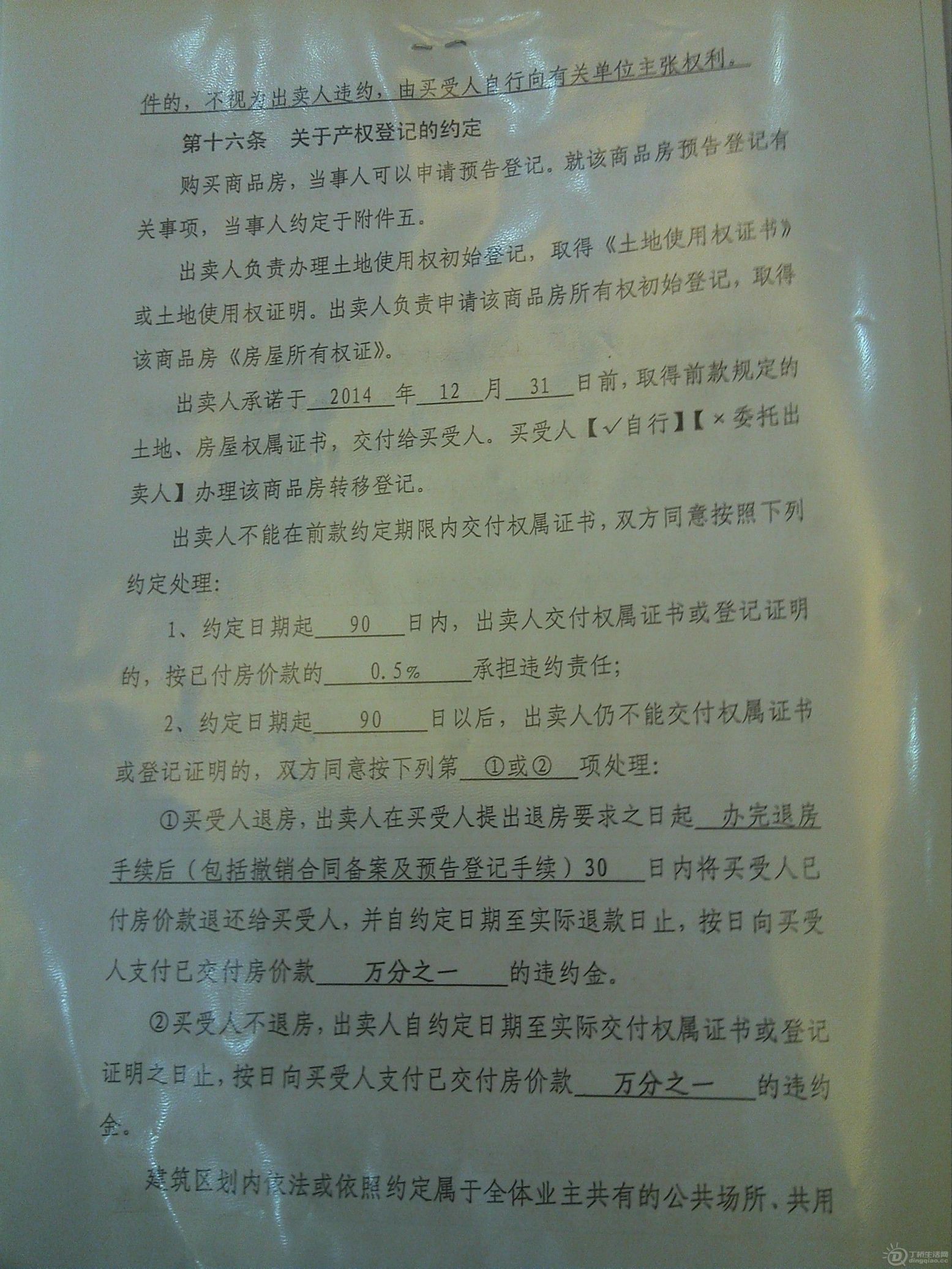 IMG_20120924_085801_0.jpg