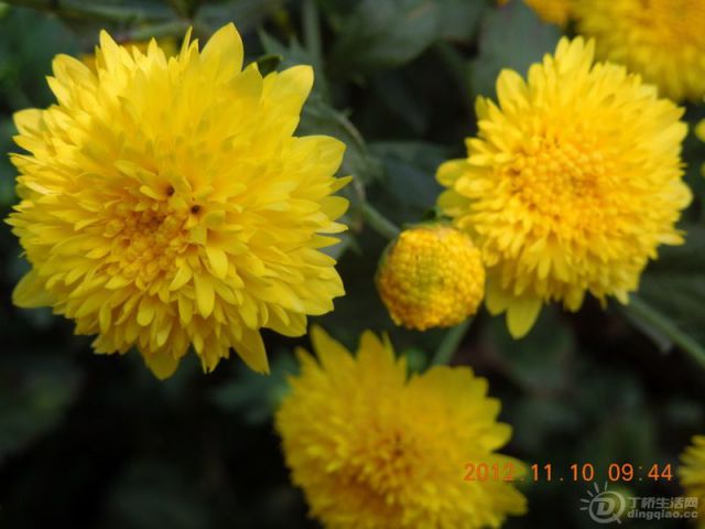 DSCN3104_resize.JPG