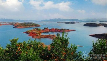 qdao-560x320.jpg qdao-560x320.jpg
