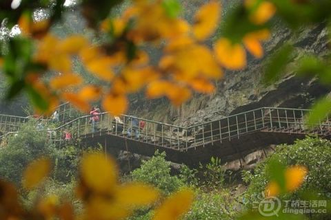 p1788302031.jpg