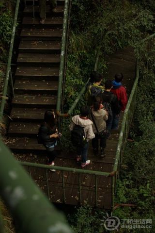 p1788302446.jpg