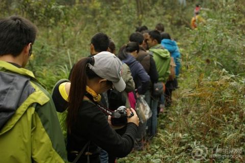 p1788306247.jpg