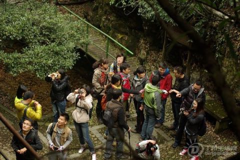 p1788308246.jpg