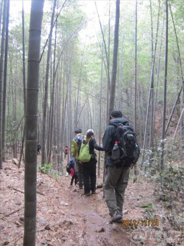 p1788456931.jpg