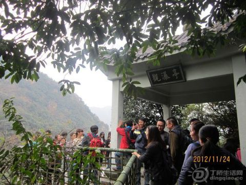 p1788479819.jpg