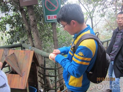 p1788482940.jpg