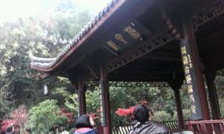 IMG0026A.jpg
