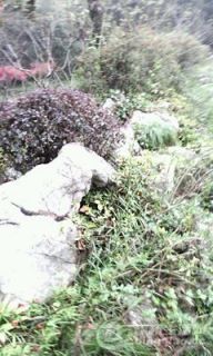 IMG0030A.jpg