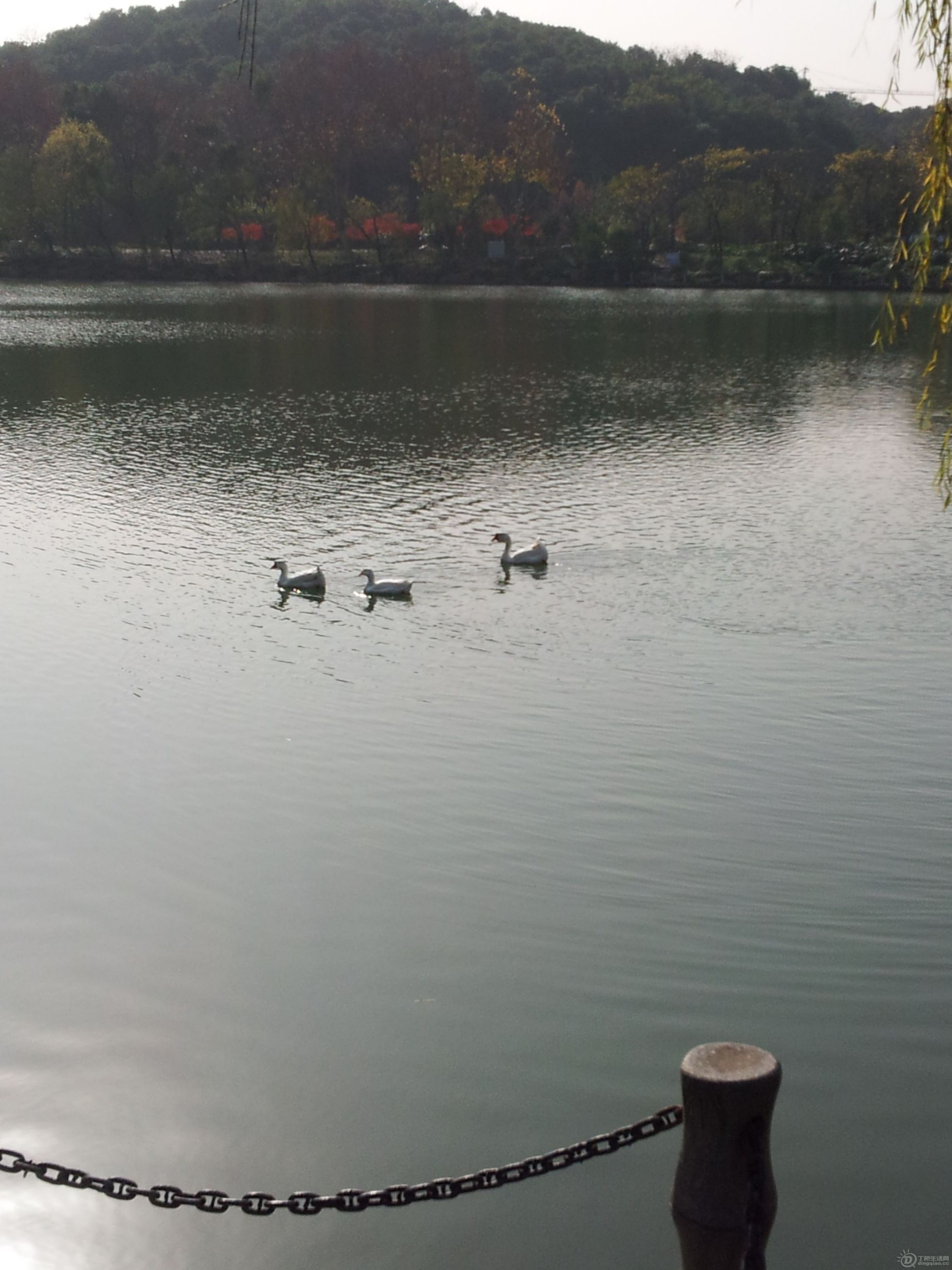20121204_133356.jpg