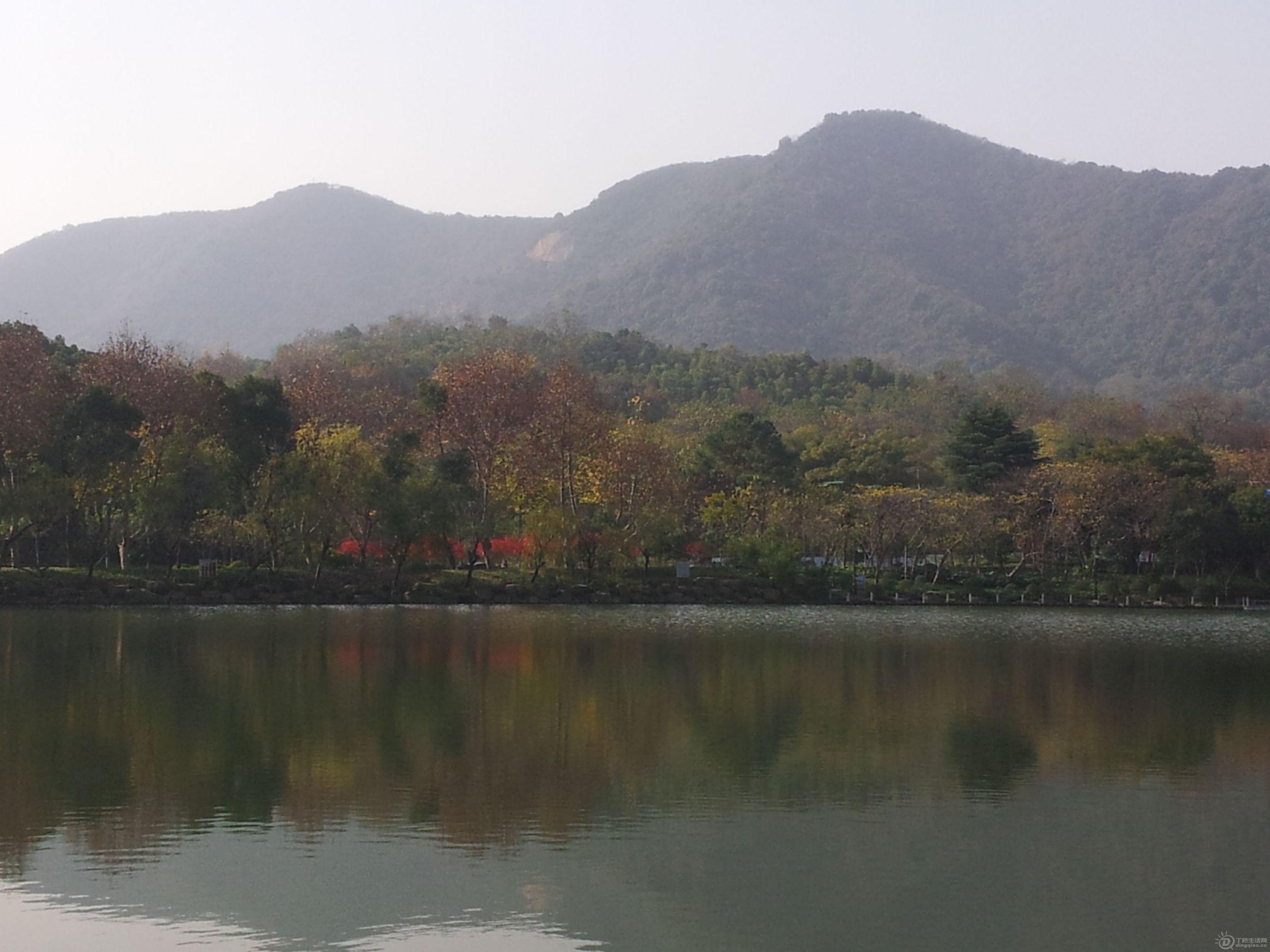 20121204_134409.jpg