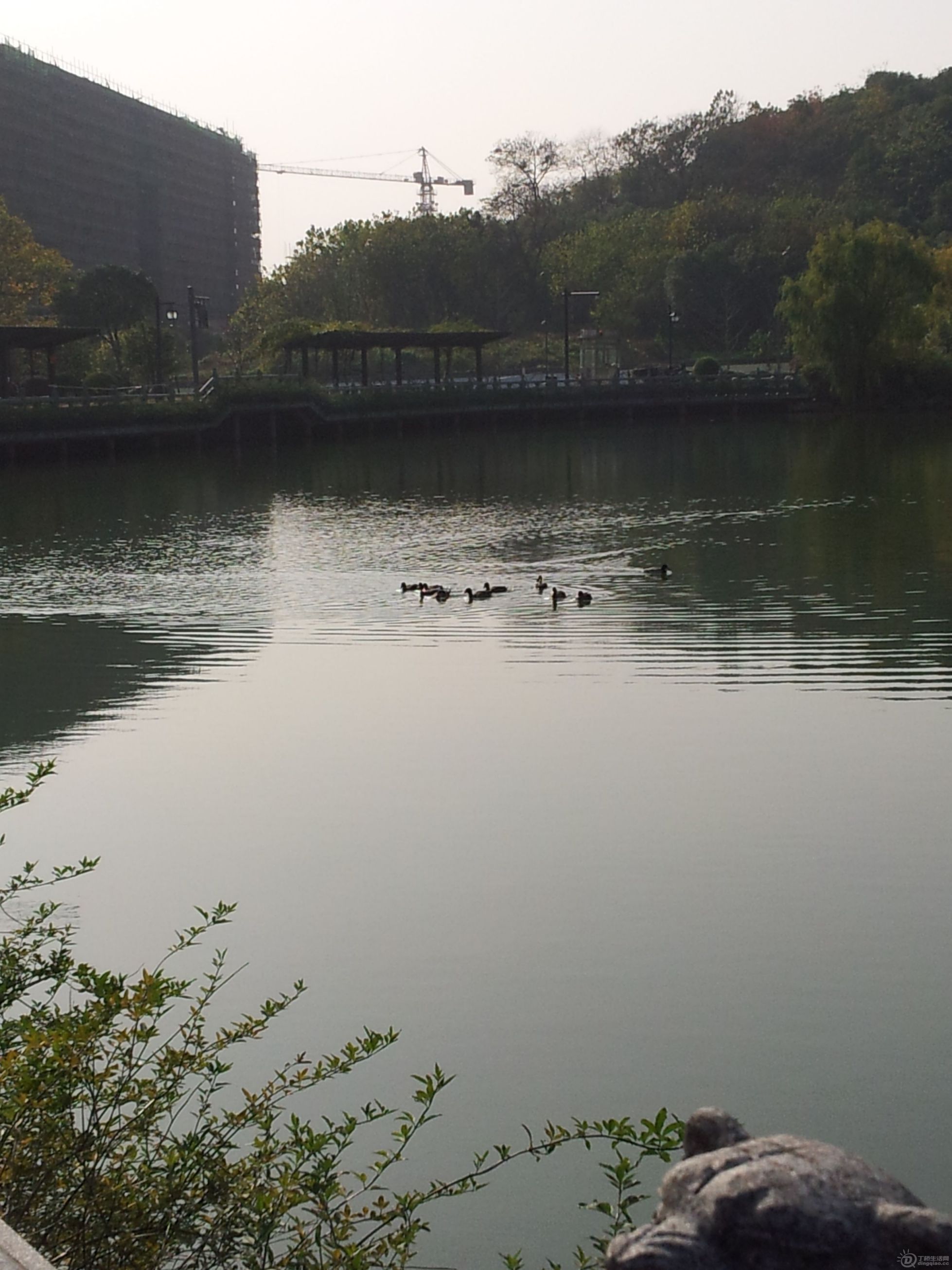 20121204_134431.jpg