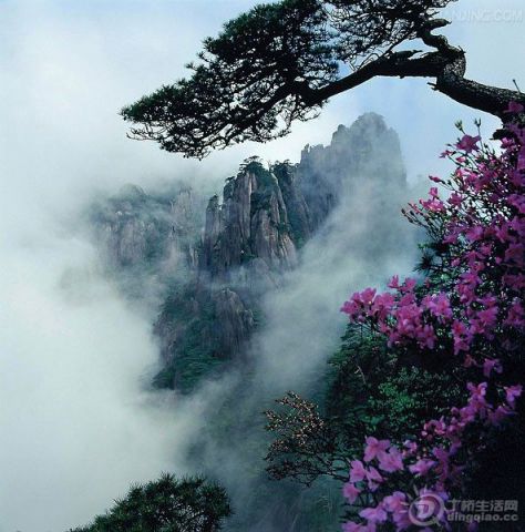 江西三清山.jpg 江西三清山.jpg