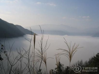 xinmeijiang04.jpg