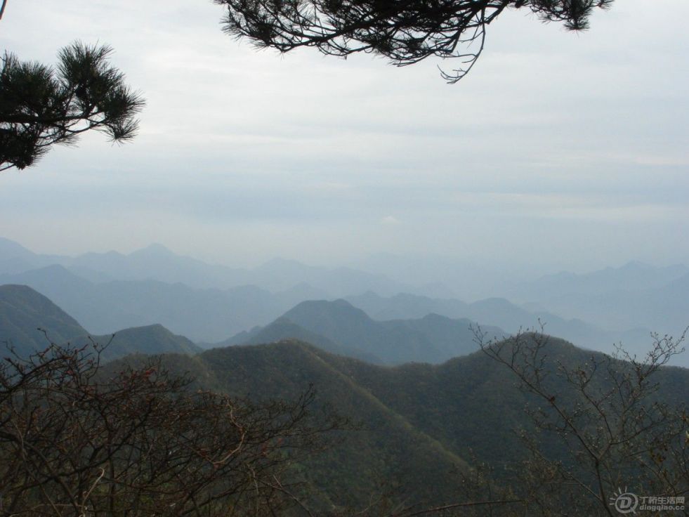 xinmeijiang05.jpg
