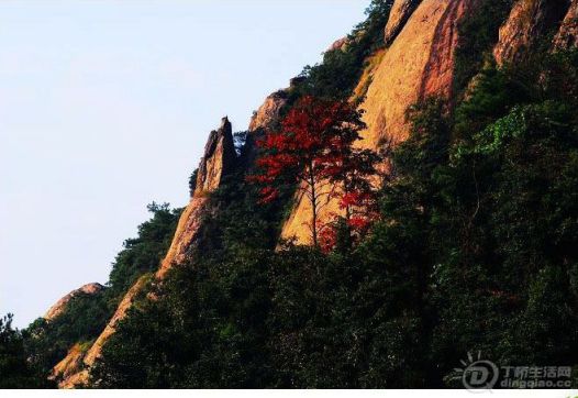 xinmeijiang08.jpg