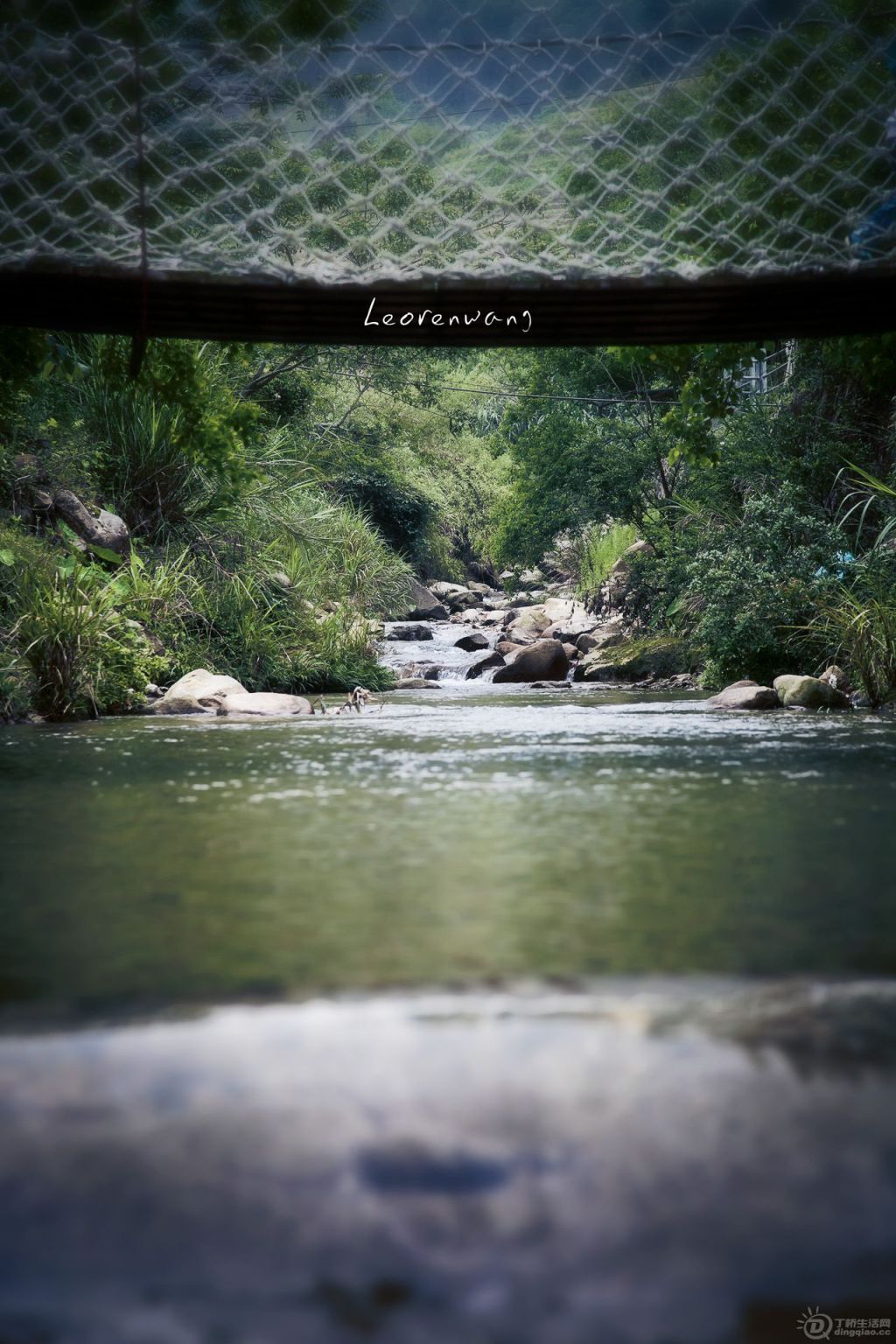 rivulet.jpg