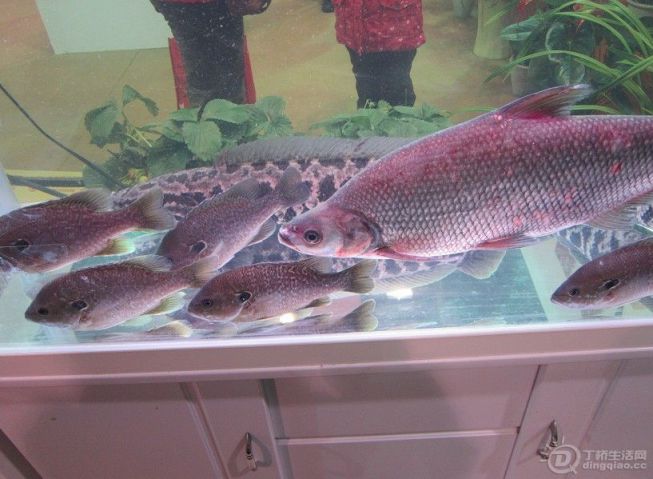 ũƷչA1.jpg