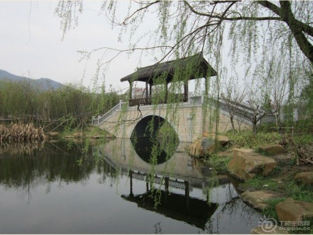 ǧԴ.jpg