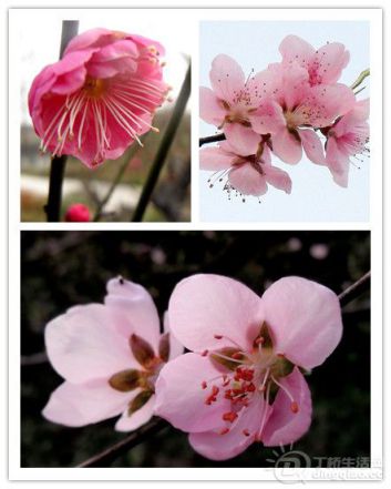154427xtuz3je8ztko2z8q_副本.jpg 154427xtuz3je8ztko2z8q_副本.jpg