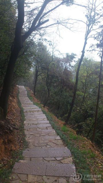 DSC_0037.JPG