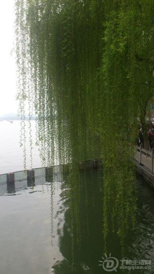 DSC_0017.JPG