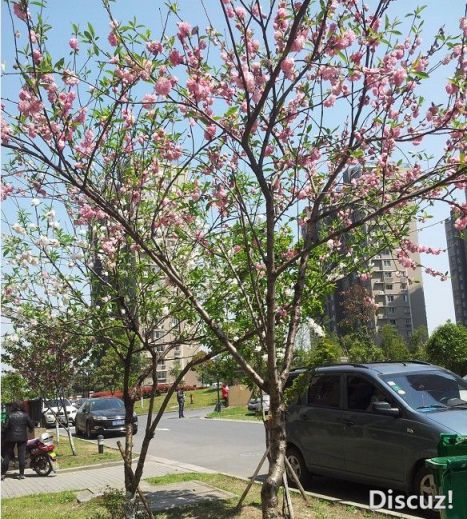 20130407_132101.jpg