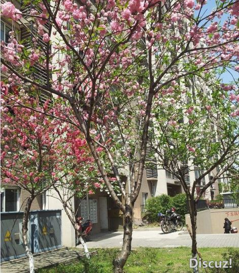 20130407_132110.jpg