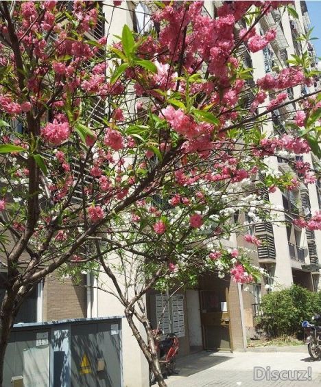 20130407_132052.jpg