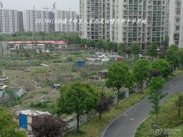 IMG20130419008__.jpg