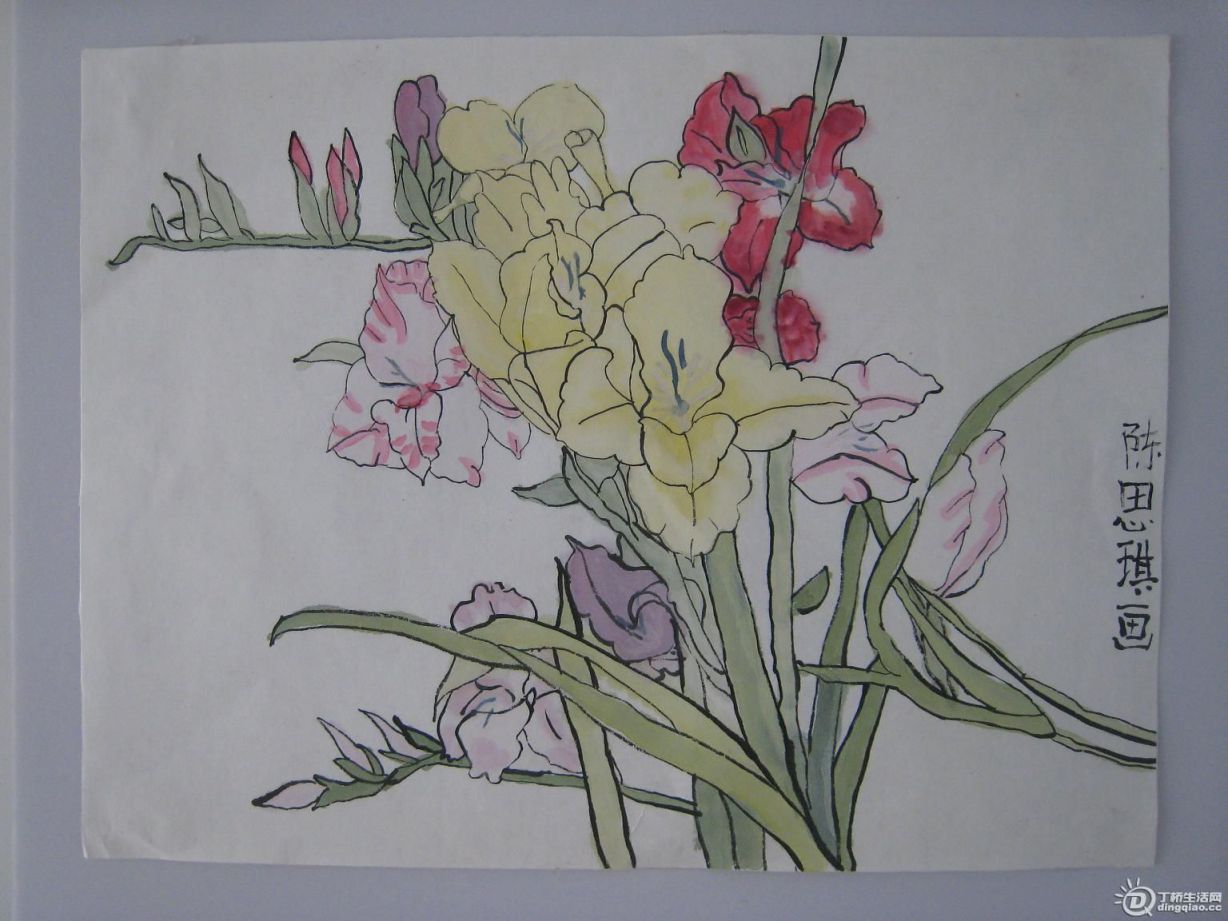 074451ouw1zlwxwef7llfn.jpg